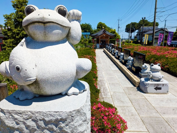 水宮神社のカエル